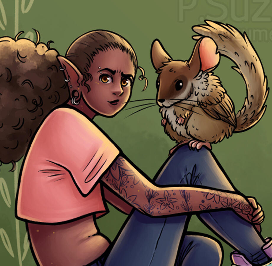 Illustration
