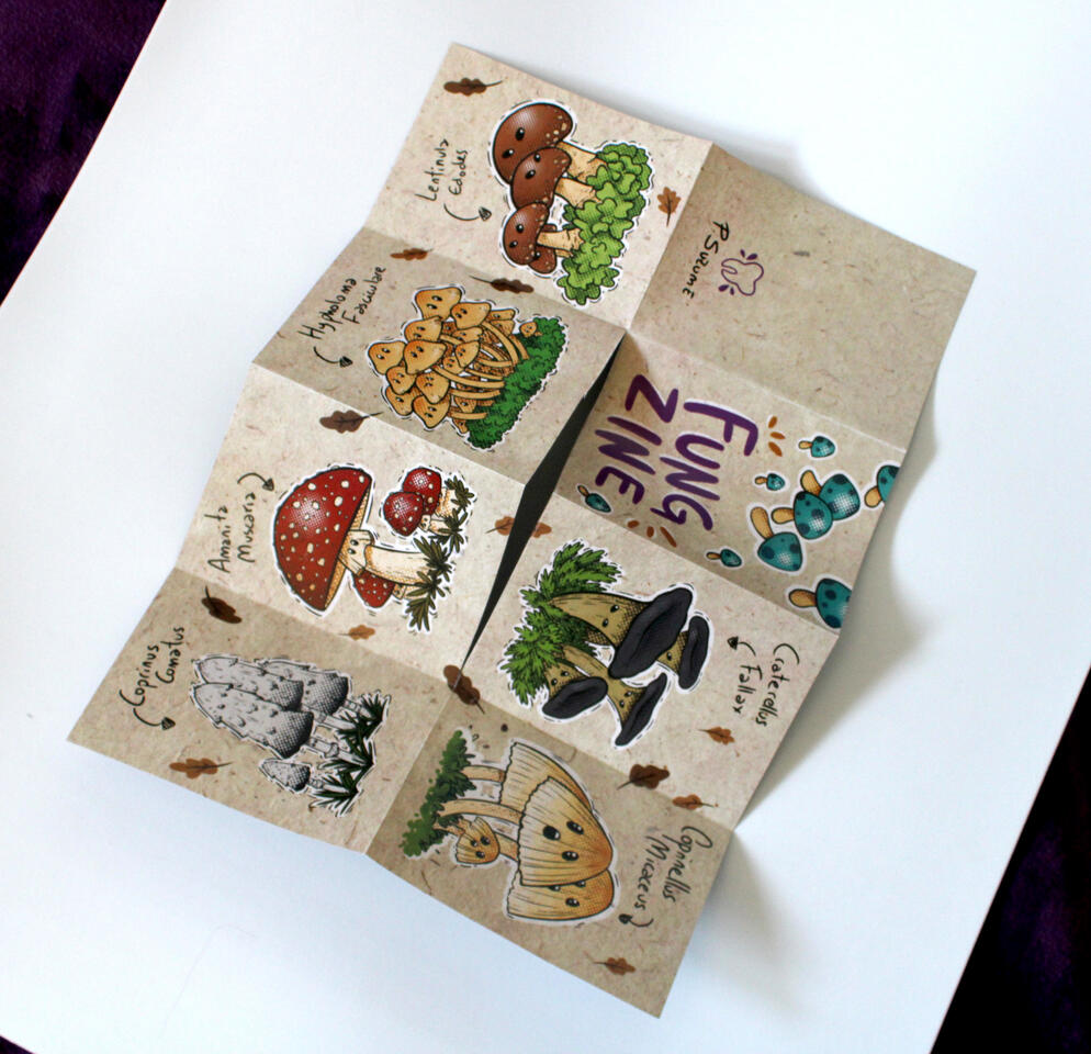 Fungzine