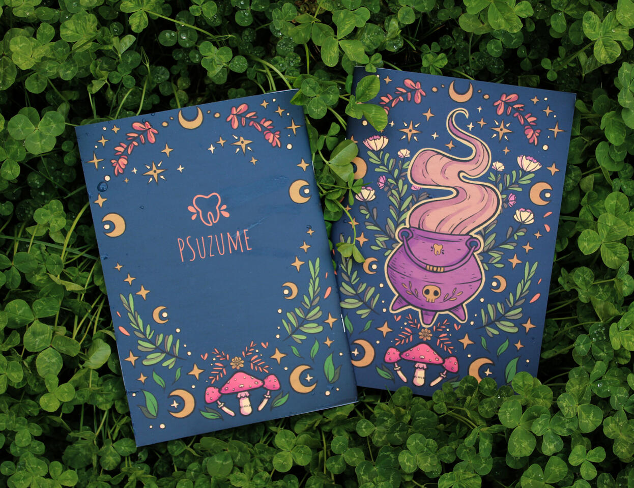 Cauldron notebook